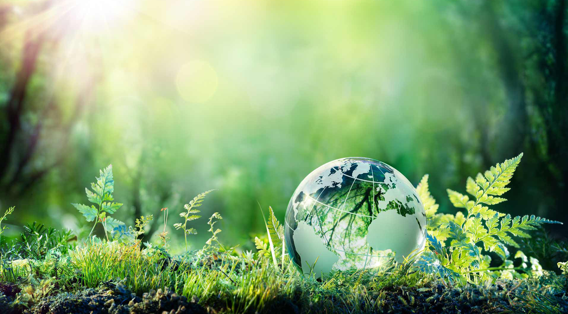 Green Economy,